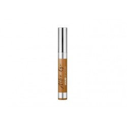 Laca Brillo para Labios ALTER EGO Tono LAC 95  Golden Chic 10 g IDRAET